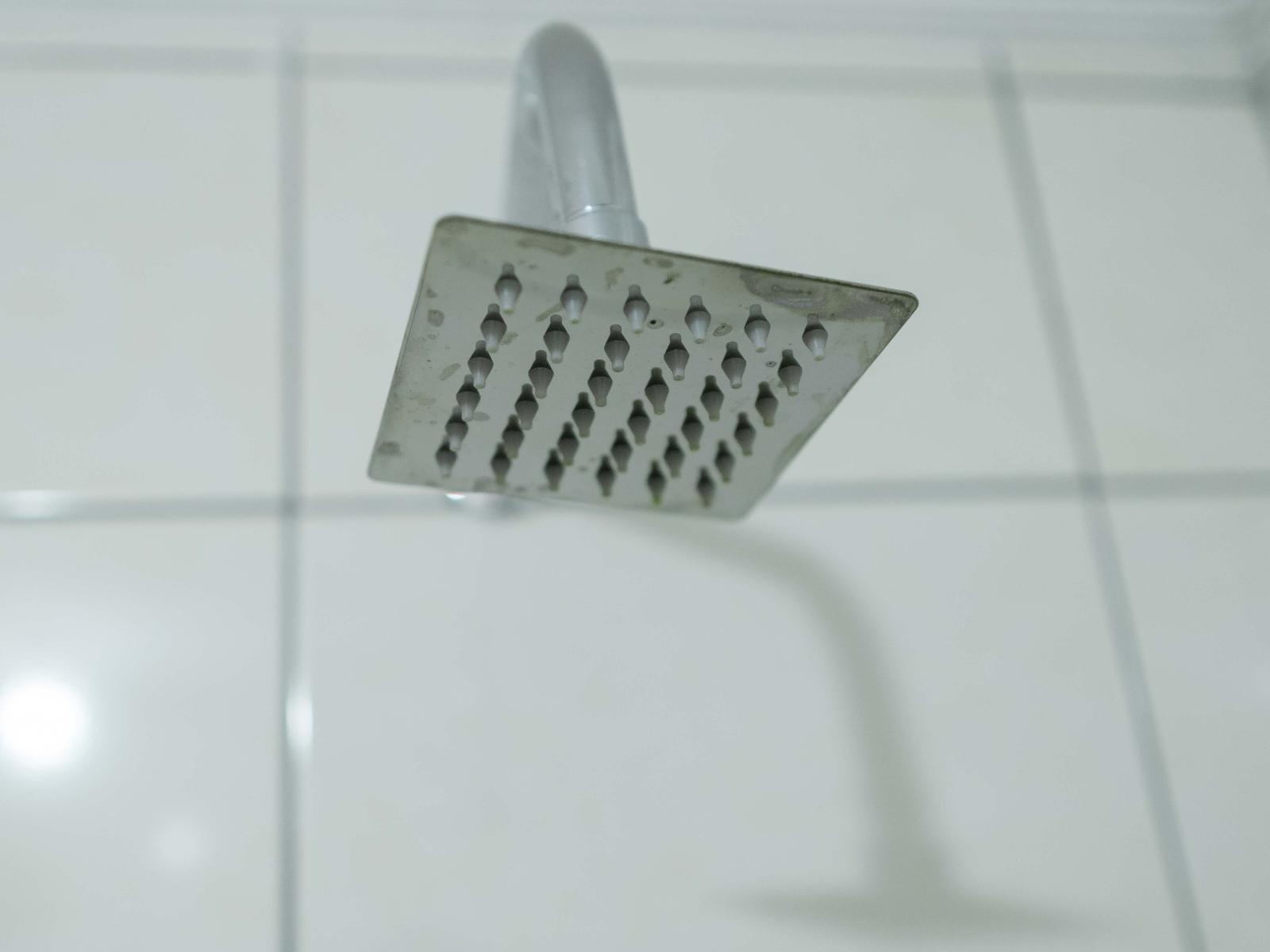 Bathroom — shower head