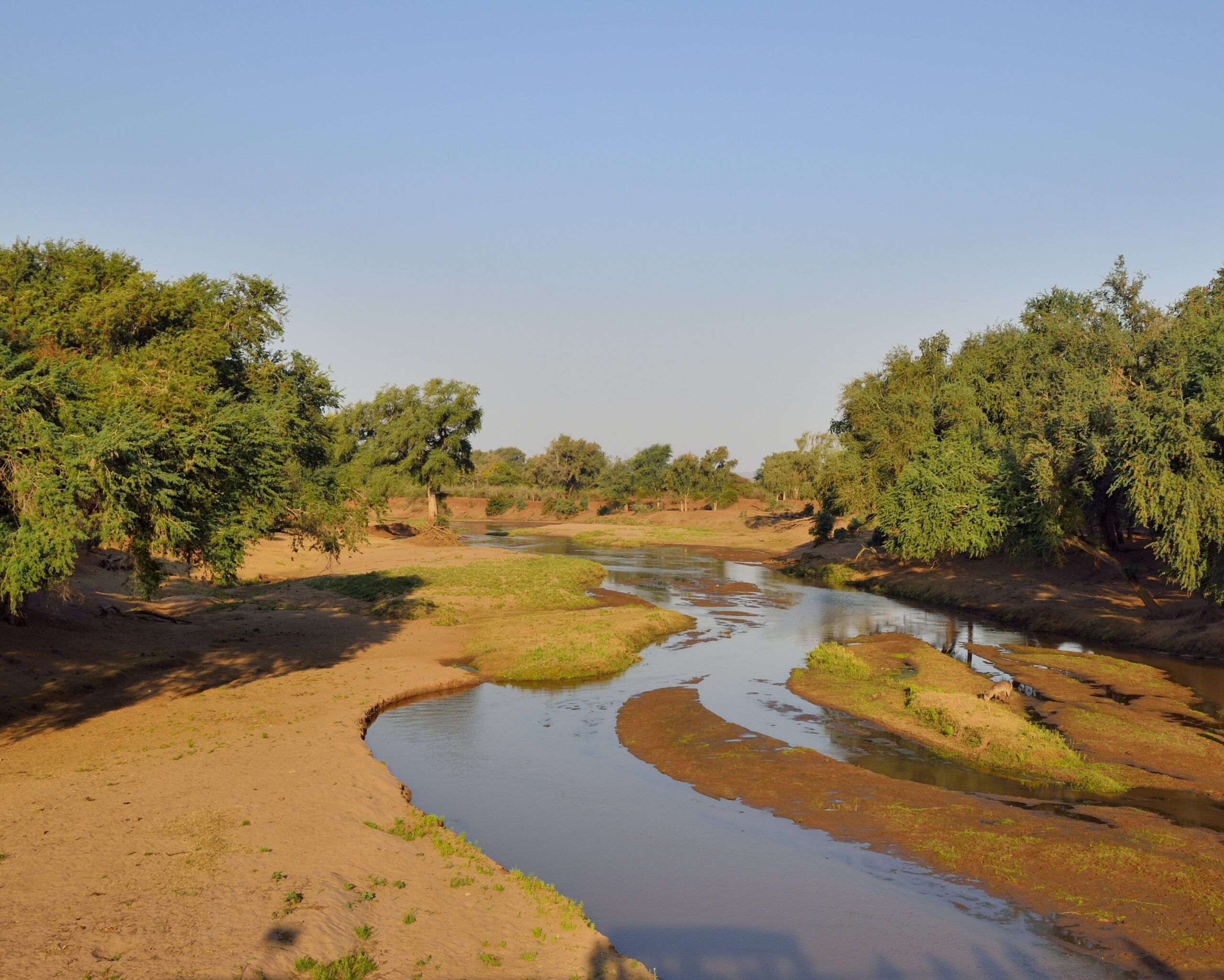 Boat Safaris — Olifants River — click to play